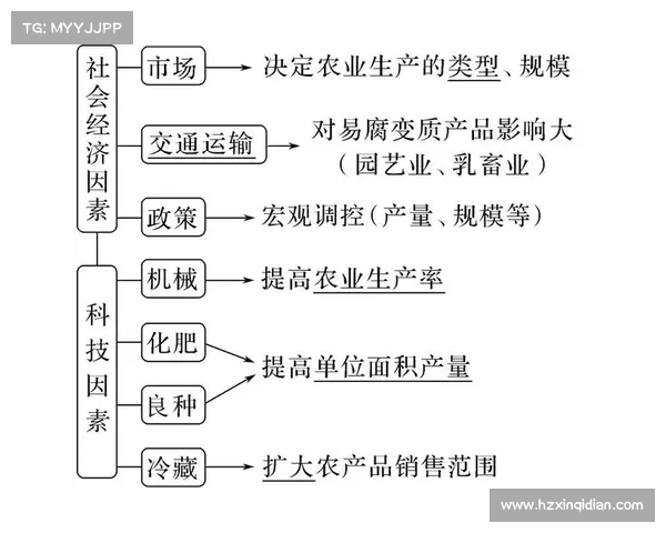 引进维尔茨的五大关键因素分析及对球队未来的深远影响