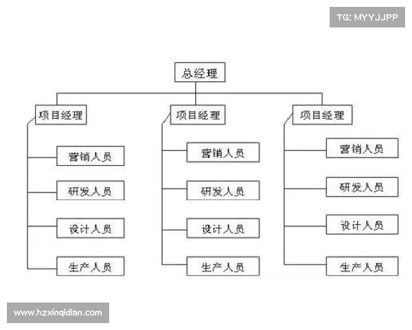 斯坦福桥所属组织结构详解与功能分布全方位指南 斯坦福桥所属组织结构详解与功能分布全方位指南